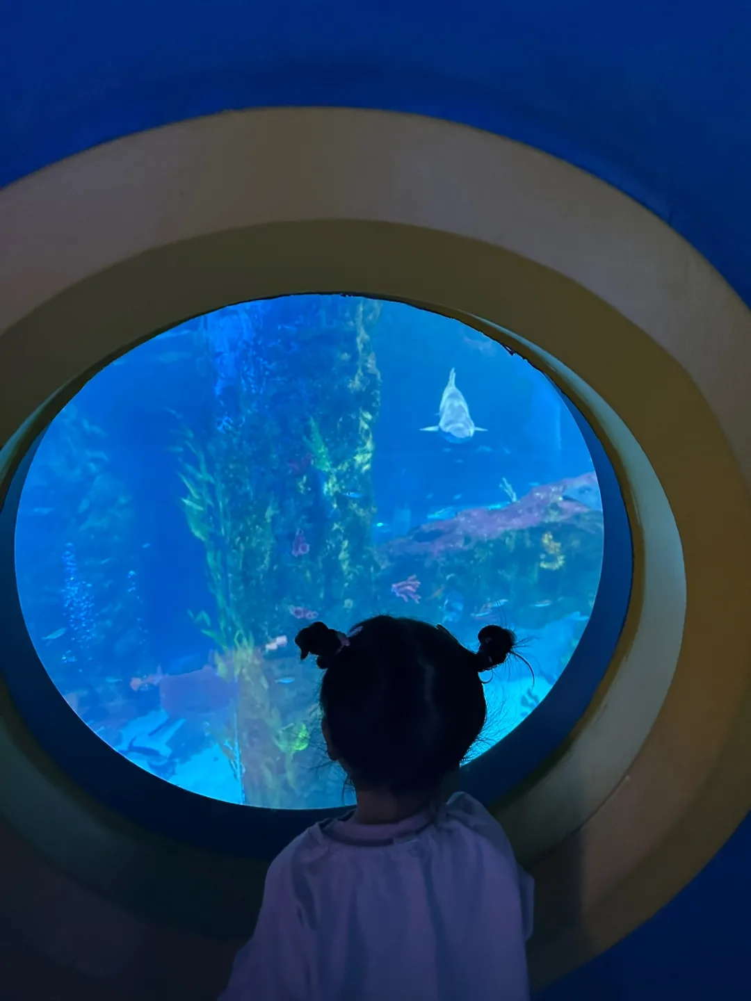 Lotte World Aquarium entrance Lotte World Mall Jamsil Seoul