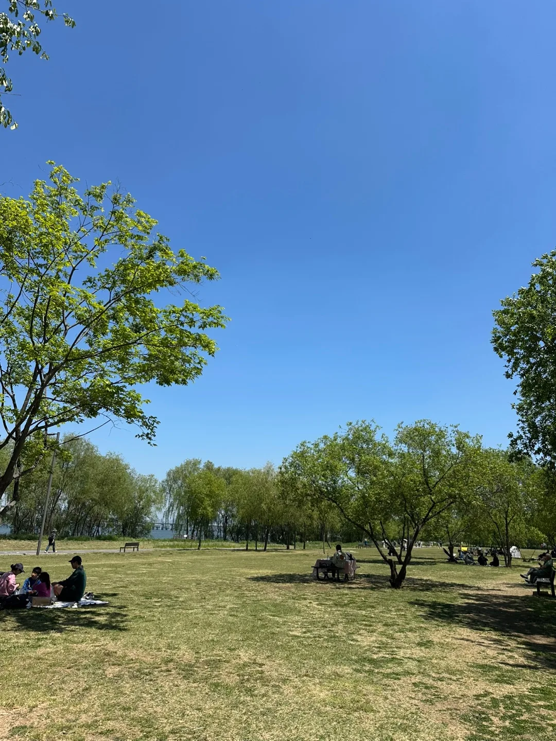 Dongjak Hangang Park: The Quiet Han River Spot Most People Walk Right Past