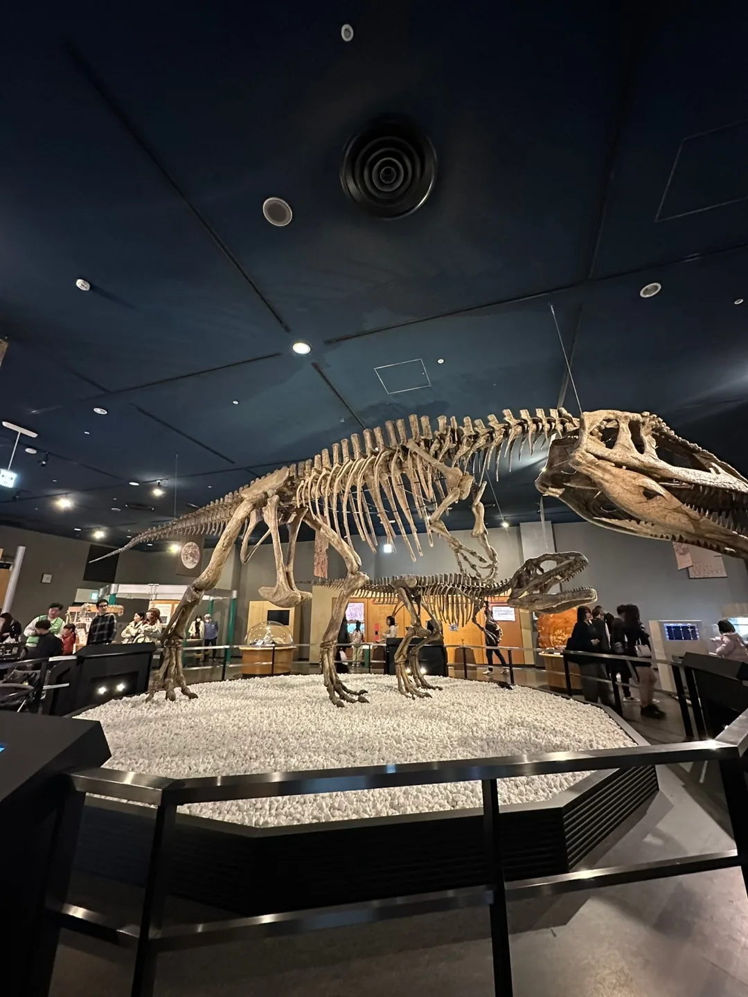 Nagoya City Science Museum