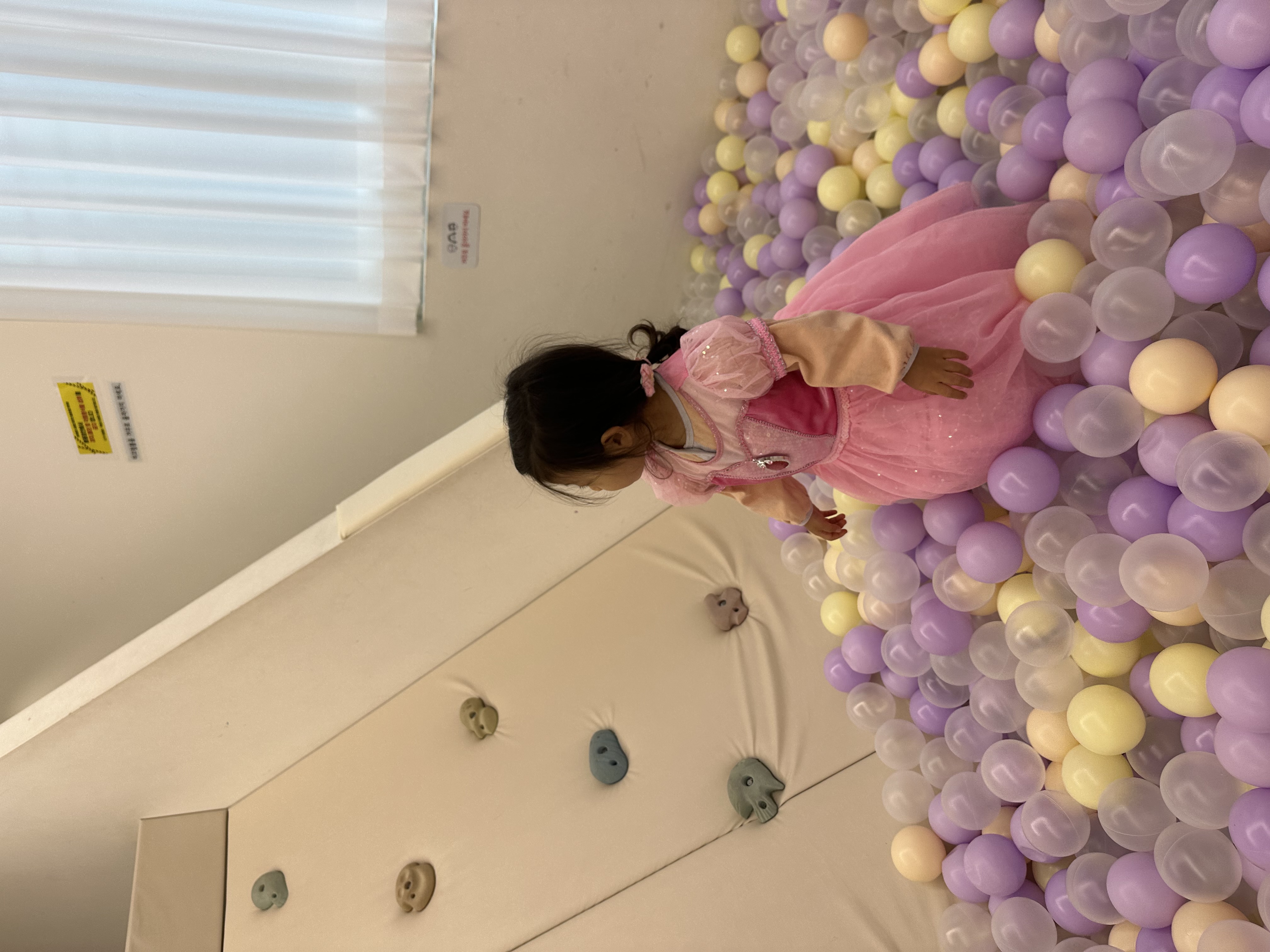 Elfin Kids Room ball pool slide play area toddler