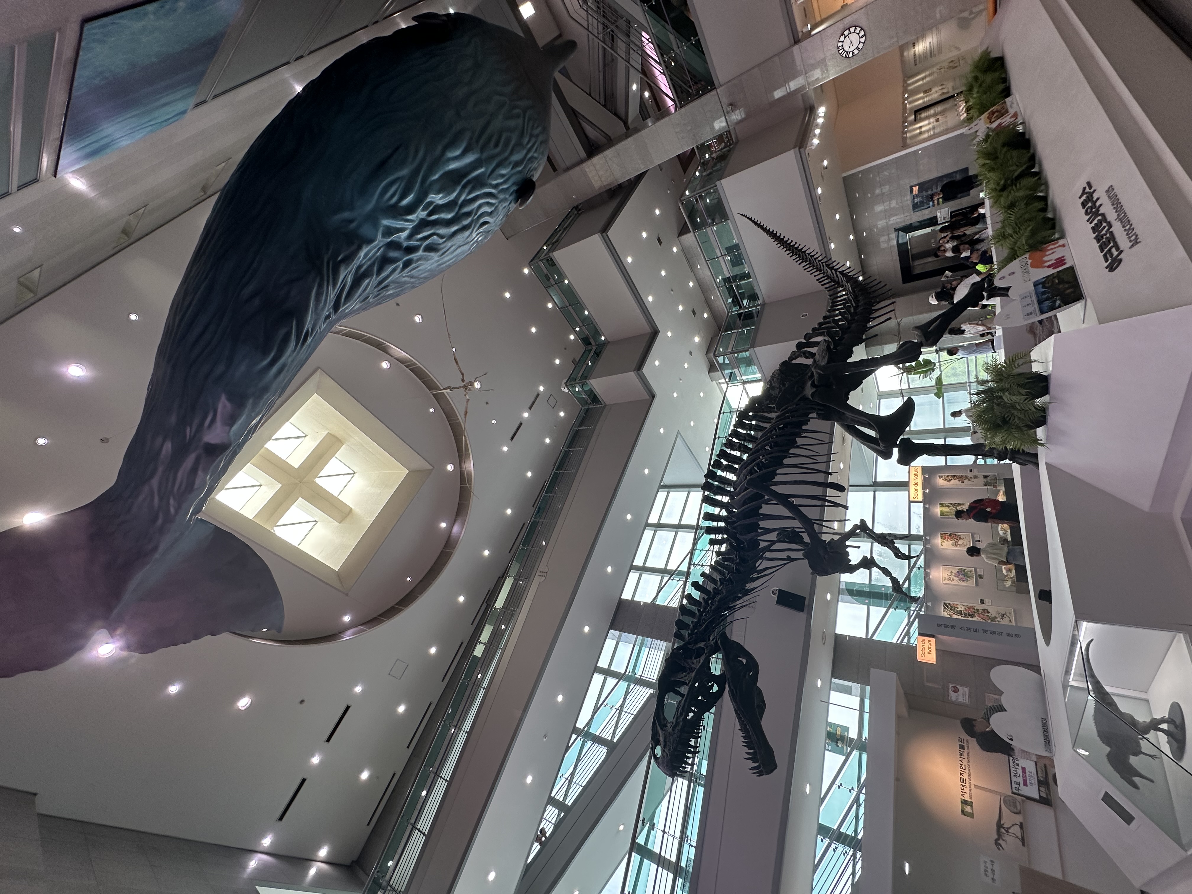 Seodaemun Museum of Natural History: A Small but Surprisingly Fun Museum for Kids in Seoul